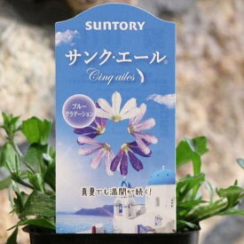 サントリー サンク・エール ブルーグラデーション 3.5号ポット苗 ブルーファンフラワー スカエボラ 寄せ植え 花壇