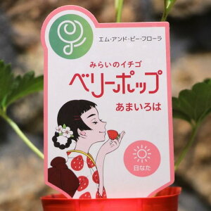 C`Sc x[|bv ܂ 3|bgc GȂ ~V C`S C`Sc 񂹐A Ԓd A   t̉   ʕ