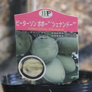 ||[ VFih[ 4|bgc s[^[\||[ ʎ c