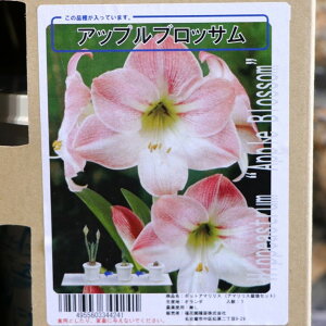 yz A}X |bgA d炫 AbvubT 1 1  ԉ Mtg Ԓd A    y t̉  c S