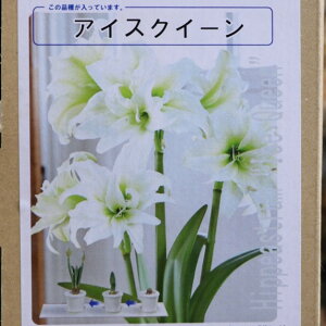 yz A}X |bgA d炫 ACXNC[ 1 1  ԉ Mtg Ԓd A    y t̉  c S