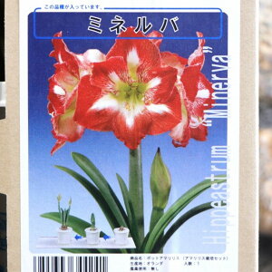 yz A}X |bgA d炫 ~lo 1 1  ԉ Mtg Ԓd A    y t̉  c S