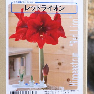 yz A}X |bgA d炫 bhCI 1 1  ԉ Mtg Ԓd A    y t̉  c S