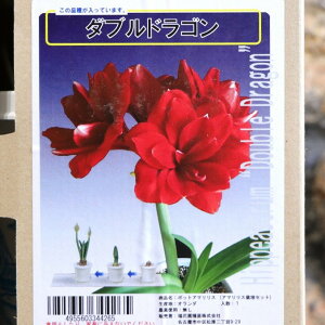 yz A}X |bgA d炫 _uhS 1 1  ԉ Mtg Ԓd A    y t̉  c S