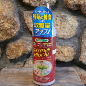 nC|lbNX XgXubN 500ml ͍ 엿 VRR   o ʎ Ԗ A c