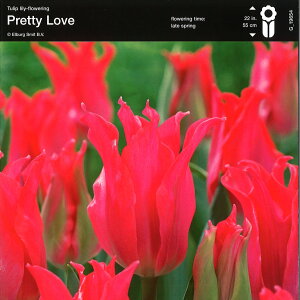 yEoz d炫`[bv 炫 veB[u 1 񂹐A A Ԓd   t̉   S