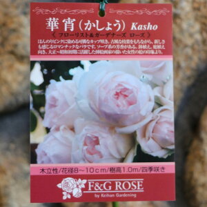 o ؏ 傤 Vc 3.5 ㉀| KN lG炫 񂹐A Ԓd A nA   t̉ Ẳ H̉  c S