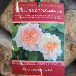 o 錎 ȂȂÂ Vc 3.5 ㉀| KN lG炫 񂹐A Ԓd A nA   t̉ Ẳ H̉  c S