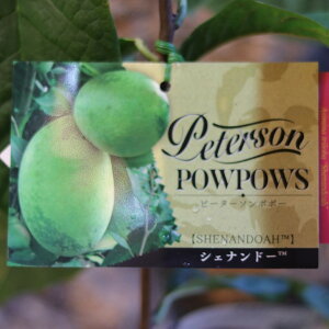 ||[ VFih[ 5 s[^[\||[ ʎ c c    킢  S