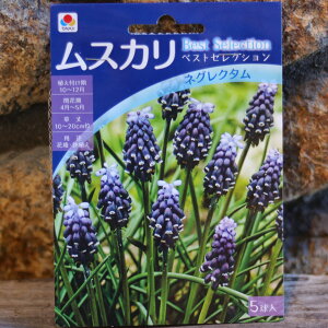 yz XJ lON^ 5 񂹐A Ԓd A    킢  t̉   S