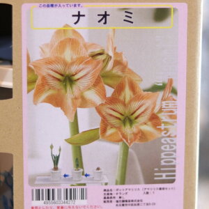 yz A}X |bgA d炫 iI~ 1 1  ԉ Mtg Ԓd A    y t̉  c S