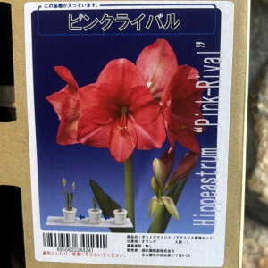 yz A}X |bgA d炫 sNCo 1 1  ԉ Mtg Ԓd A    y t̉  c S