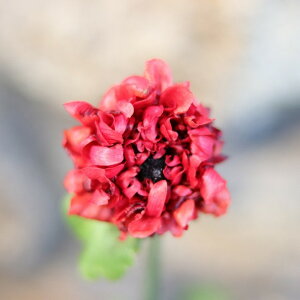 M&B iLX [W[W 3.5`4|bgc GAhr[t[ 񂹐A Ԓd A   VbN t̉ ~̉  c S