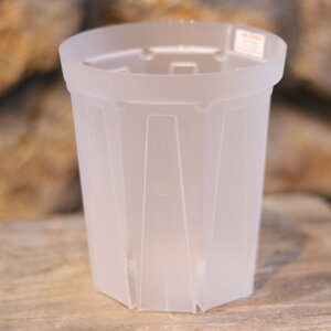  Xbg lK~G 4(12cm) CSM-120L 1̔ o v Aؔ 񂹐A A   ϗtA ϗt m   c S