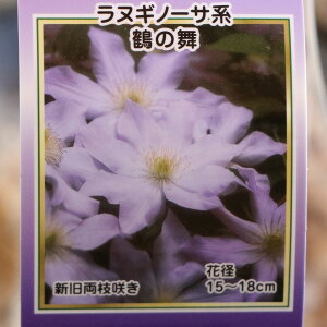 x͂̃N}`X ߂̕ (kMm[Tn) 2Nc 4O|bgc N}`X 񂹐A Ԓd A nA c    c