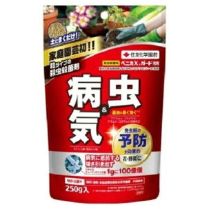 KINCHO| iFZFw|j xjJXK[h 250g