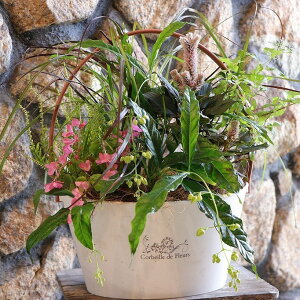 yXIWiz tH̑Ԃ̃re[WJ[񂹐A yi192z