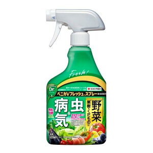 KINCHO| iFZFw|j xjJVtbVXv[ 420ml