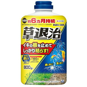 KINCHO| iFZFw|j ގE 800g