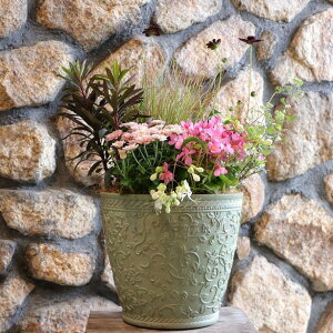 yXIWiz H̑Ԃ̃GKgX^C񂹐A yi198z