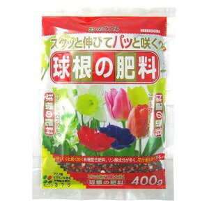 Ԃ ̔엿 400g A v^[ Ԓd nA     ϗt  T{e m ʎ A