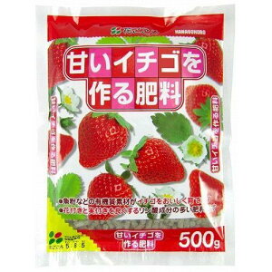 Ԃ ÂC`S엿 500g A v^[ Ԓd nA     ϗt  T{e m ʎ A