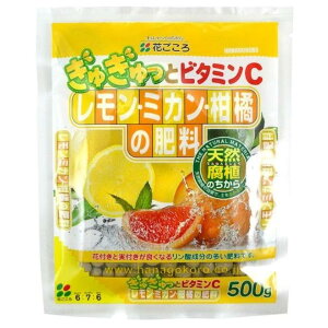 E~Jk̔엿 500g A v^[ Ԓd nA     ϗt  T{e m ʎ A