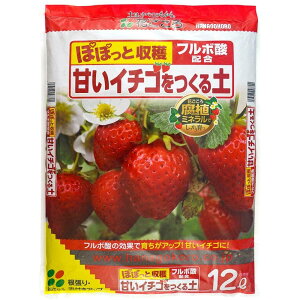 花ごころ 甘いイチゴを作る土 12L