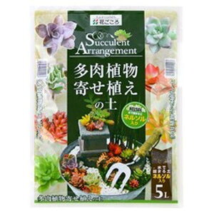 花ごころ 多肉植物寄せ植えの土 1.5L