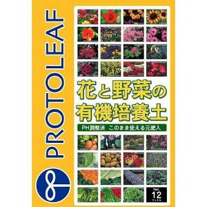 vg[t ԂƖ؂̗L@|{y 12L