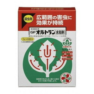 KINCHO| iFZFw|j Iga 5gx8