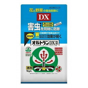 KINCHO| iFZFw|j IgDX  1kg