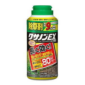 KINCHO| iFZFw|j NTmEX 400g