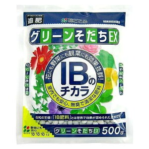 O[EX 500g ǔ Ɍ엿 IB