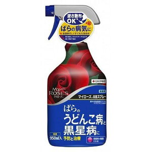 KINCHO| iFZFw|j }C[YEۃXv[950ml