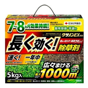 KINCHO| iFZFw|j NTmEX 5kg