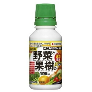 KINCHO| iFZFw|j xjJxWt 100ml