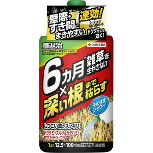 KINCHO| iFZFw|j ގKOSP 1000ml