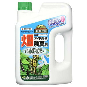 KINCHO| iFZFw|j O[XLbgV[ 2L