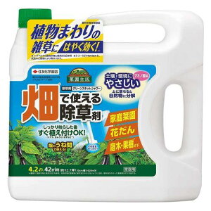 KINCHO園芸 (旧:住友化学園芸) グリーンスキットシャワー 4.2L