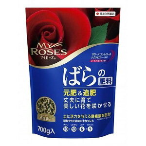 KINCHO| iFZFw|j }C[Y o̔엿 700g