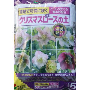 Ԃ@NX}X[Y̓y@5bg@p|{y