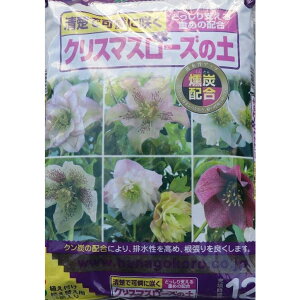 Ԃ@NX}X[Y̓y@12bg@p|{y