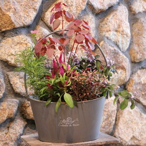 yXIWiz tH̑Ԃ̃VbNȊ񂹐A yi185z