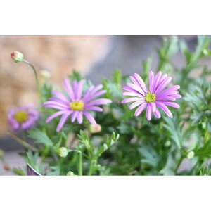 h{nuLJ uXRoCIbg 3.5|bgc 񂹐A Ԓd