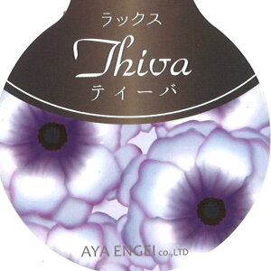 ���i���L�����X ���b�N�X �e�B�[�o 4�`5���|�b�g�c �񂹐A�� �Ԓd ���A�� ������ �I�V���� ���� �A���e�B�[�N �~�̉� �t�̉� ��