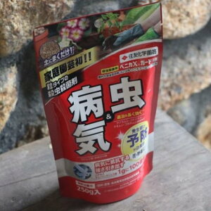 KINCHO| iFZFw|j xjJXK[h 250g ZFw|