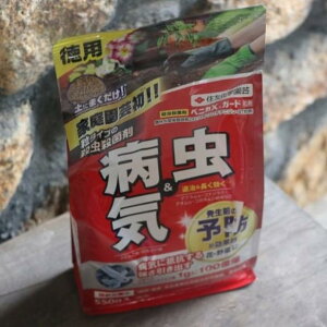 KINCHO| iFZFw|j xjJXK[h 550g ZFw|