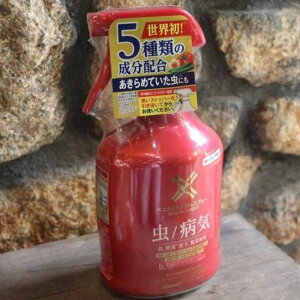 KINCHO| iFZFw|j xjJXlNXgXv[ 1000ml ZFw| |p E Eۍ