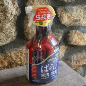 KINCHO| iFZFw|j }C[Y xjJXt@CXv[ 950ml ZFw| |p E Eۍ op